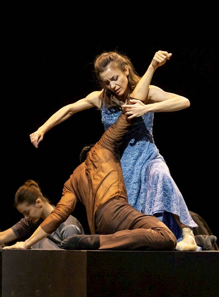 The Cellist, Cathy Marston, zugeschnitten. Foto: Gregory Batardon