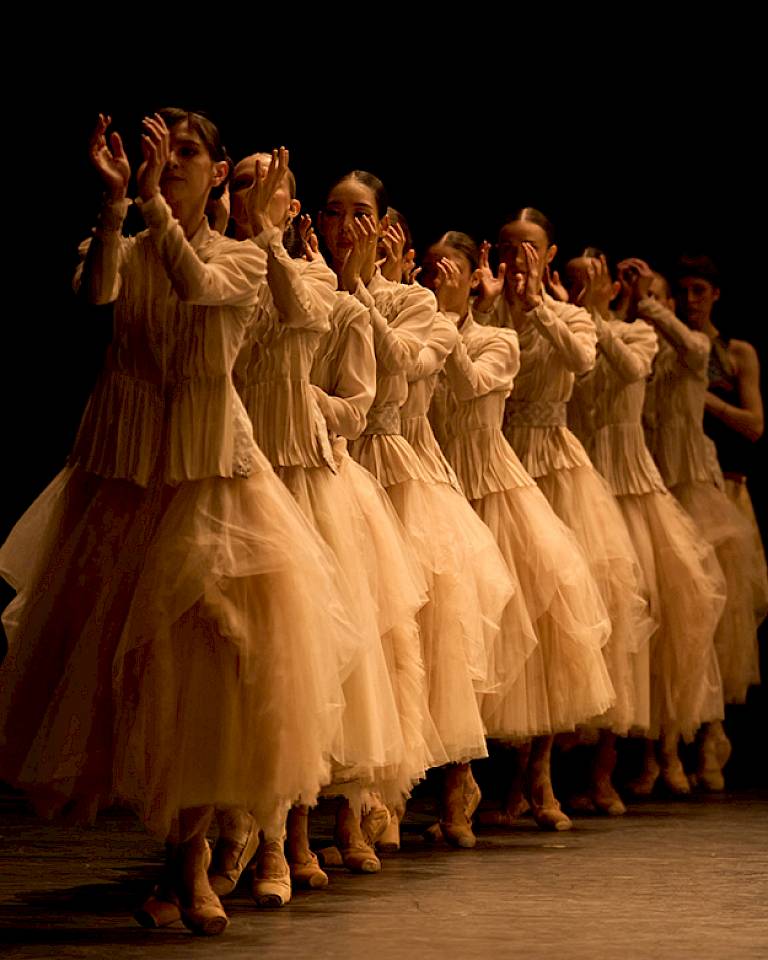 «Oiseaux Rebelles»